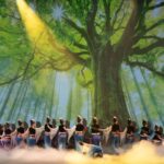 舞剧《孔雀的传说》观后感