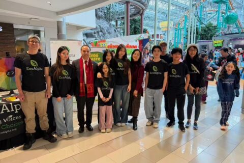 四海同春·华星闪耀美国商城—2026中华文化展示活动侧记